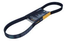CONTINENTAL CTAM Poly V-riem 6PK1005