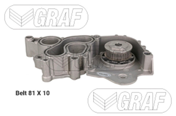 GRAF Waterpomp + Distributieriemset 81 tanden 10mm